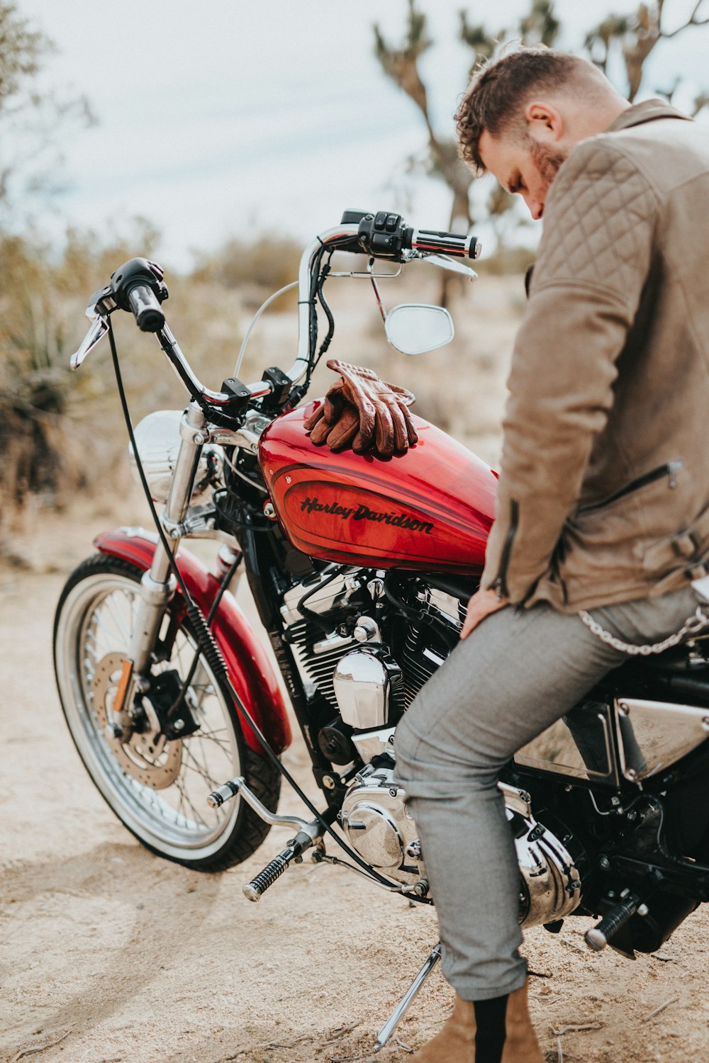 man sits on red and black Harley-Davidson motorcycle during daytime