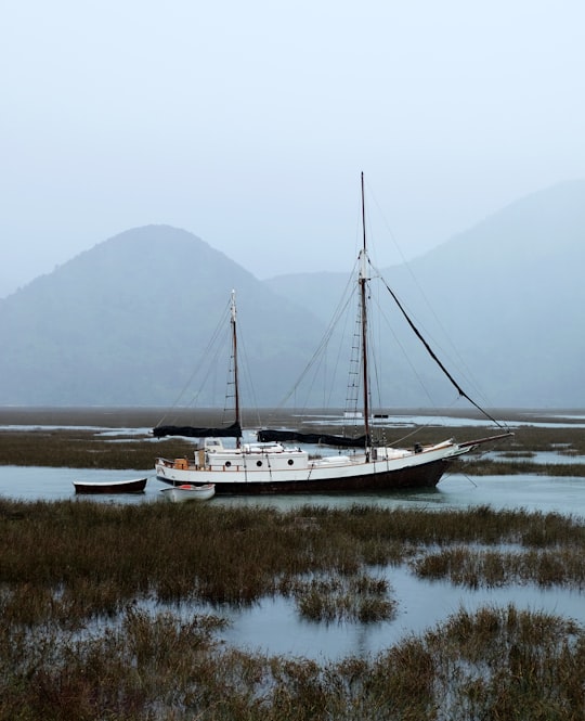 black and white boat on body of water in Havelock New Zealand