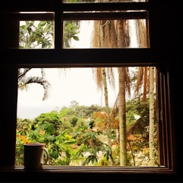 A cozy homestay room with tropical green plants visible through large windows.