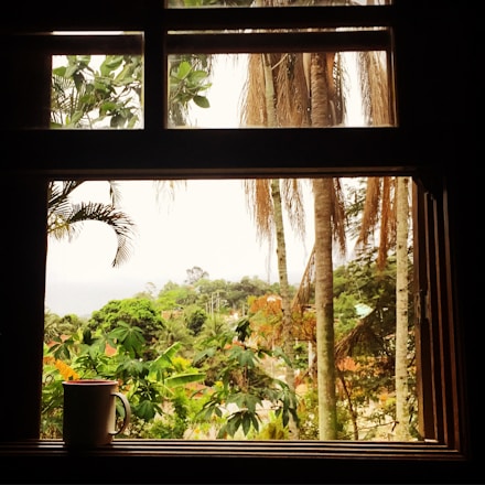 A cozy homestay room with tropical green plants visible through large windows.