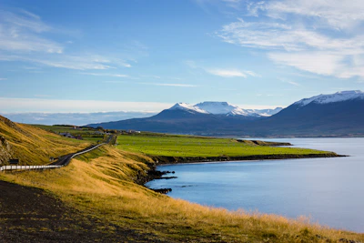 field and mountain near body of water