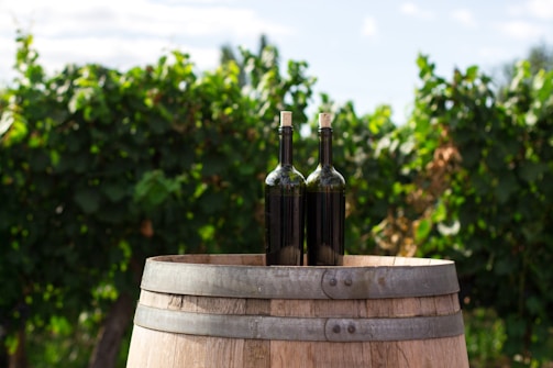 Two wine bottles with corks are placed on top of a wooden barrel. The background features a lush vineyard with green foliage, under a clear blue sky.
