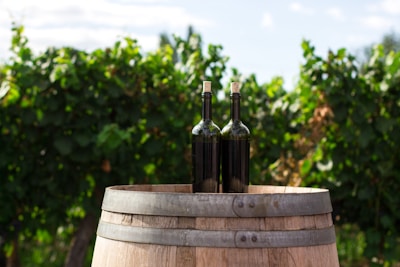 Two wine bottles with corks are placed on top of a wooden barrel. The background features a lush vineyard with green foliage, under a clear blue sky.