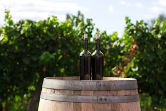 Two wine bottles with corks are placed on top of a wooden barrel. The background features a lush vineyard with green foliage, under a clear blue sky.