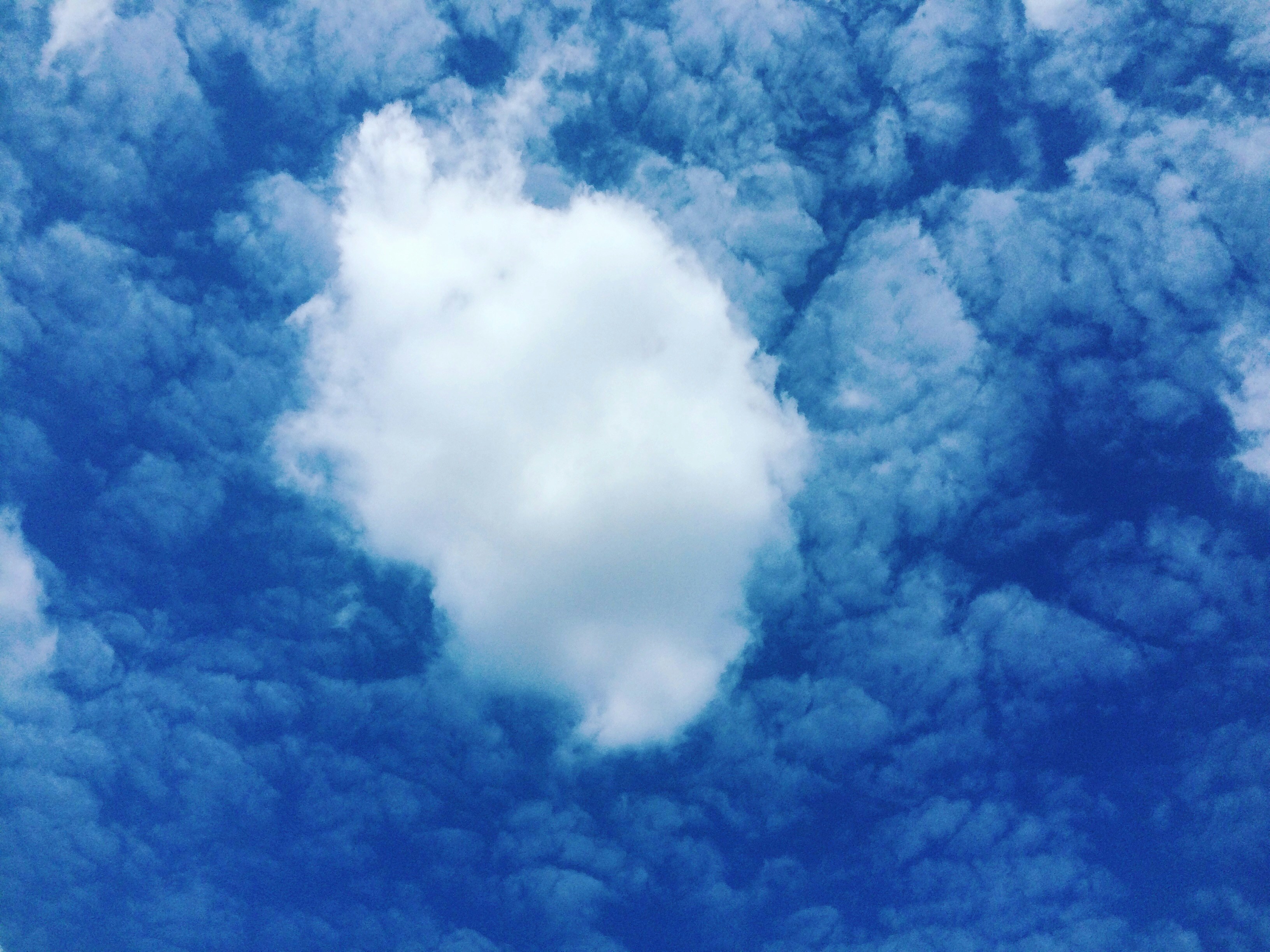 White clouds photo – Free Blue Image on Unsplash