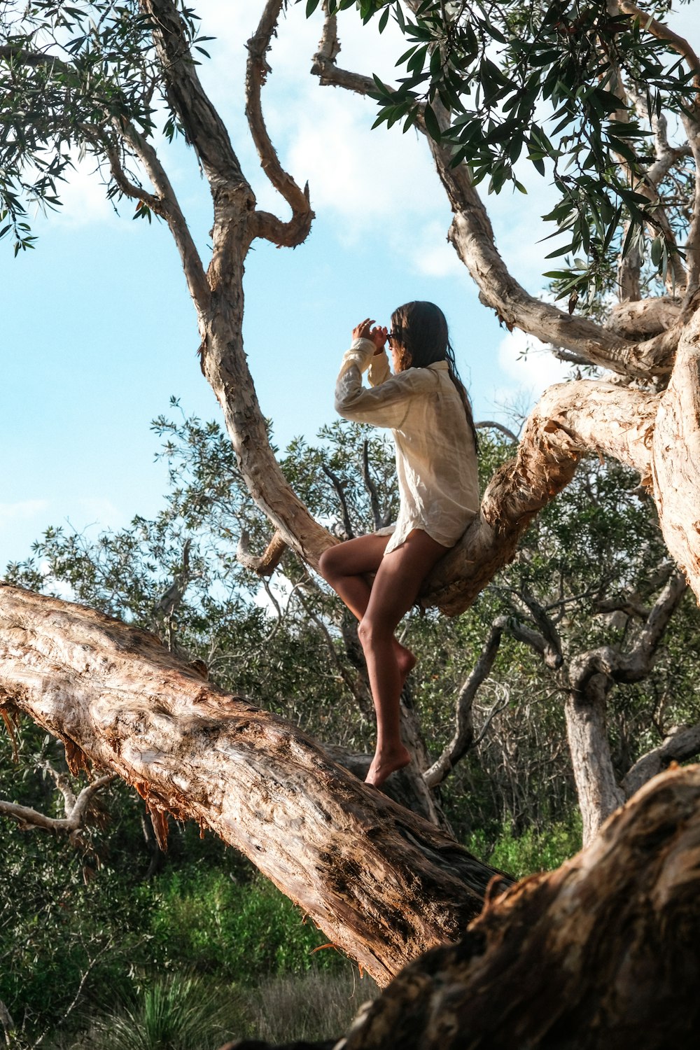 uma mulher sentada em um galho de árvore tirando uma foto