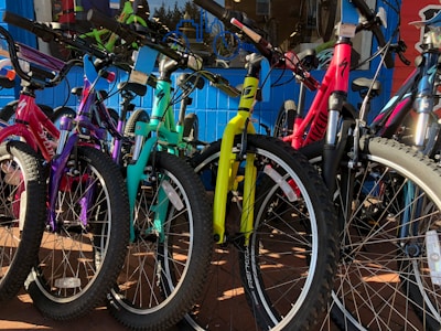 A row of colorful bicycles ready for rent in a park.