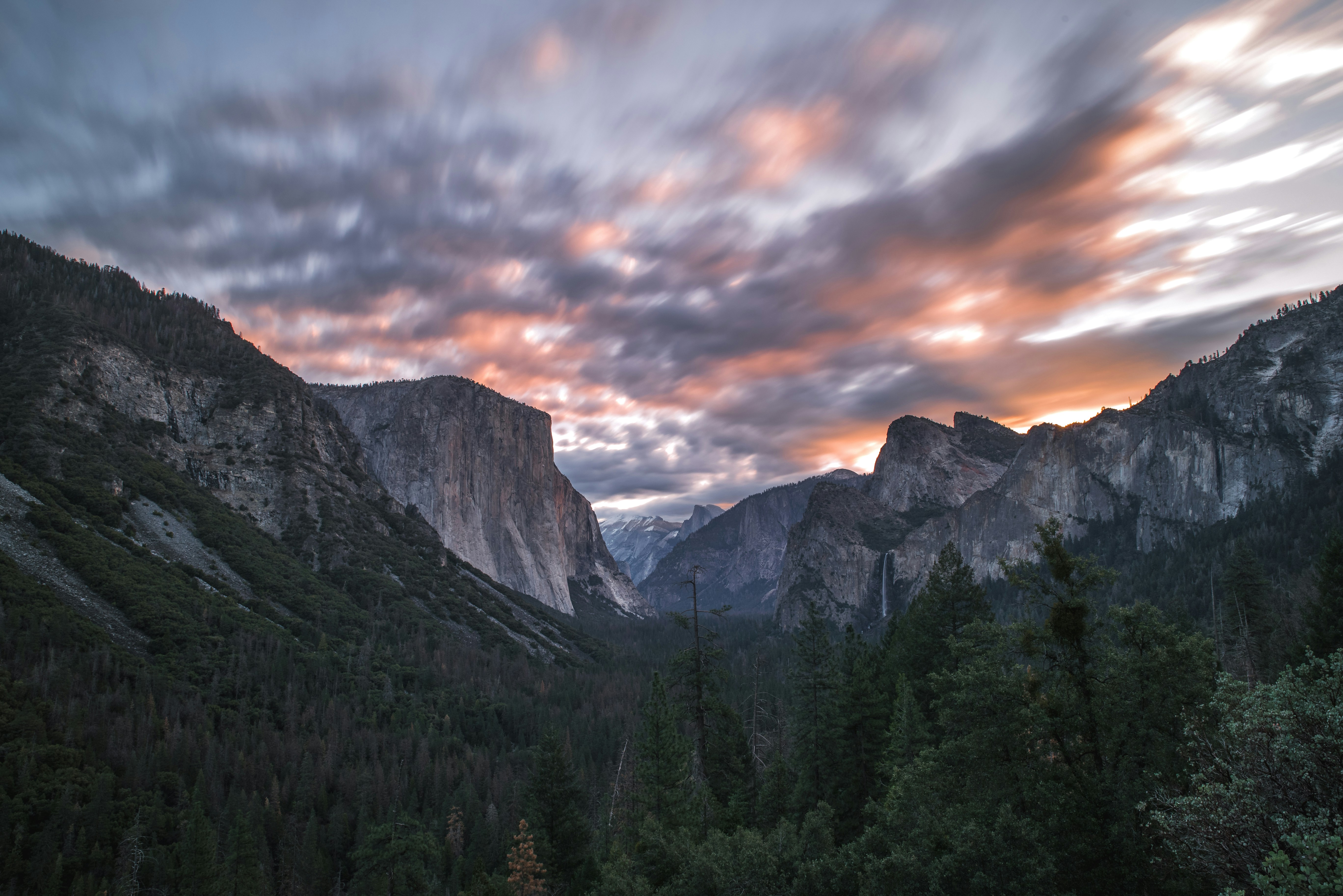 Photo by mischievous_penguins