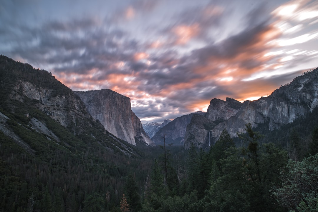 photo of green leaf trees between gray mountains under cloudy sky