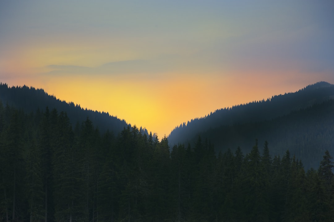 Mountain photo spot Cabana Babele Bucegi