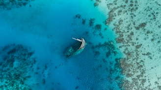 Underwater view of divers exploring the sunken 17th-century shipwreck near Praia dos Ingleses