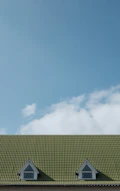green wooden house roof