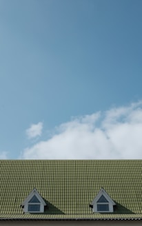 green wooden house roof