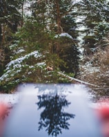 A beautiful scene that reflects our brand's identity.