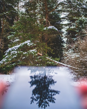 A beautiful scene that reflects our brand's identity.