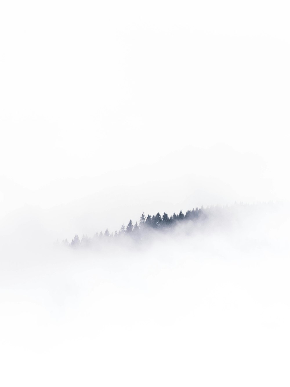 a foggy landscape with trees in the distance