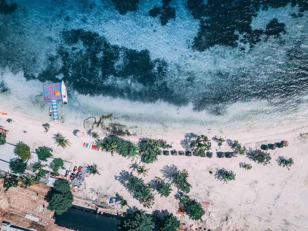 aerial photography of beach at daytime