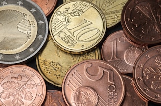 A collection of Euro coins in various denominations, including cents and Euro values, with intricate designs and symbols.