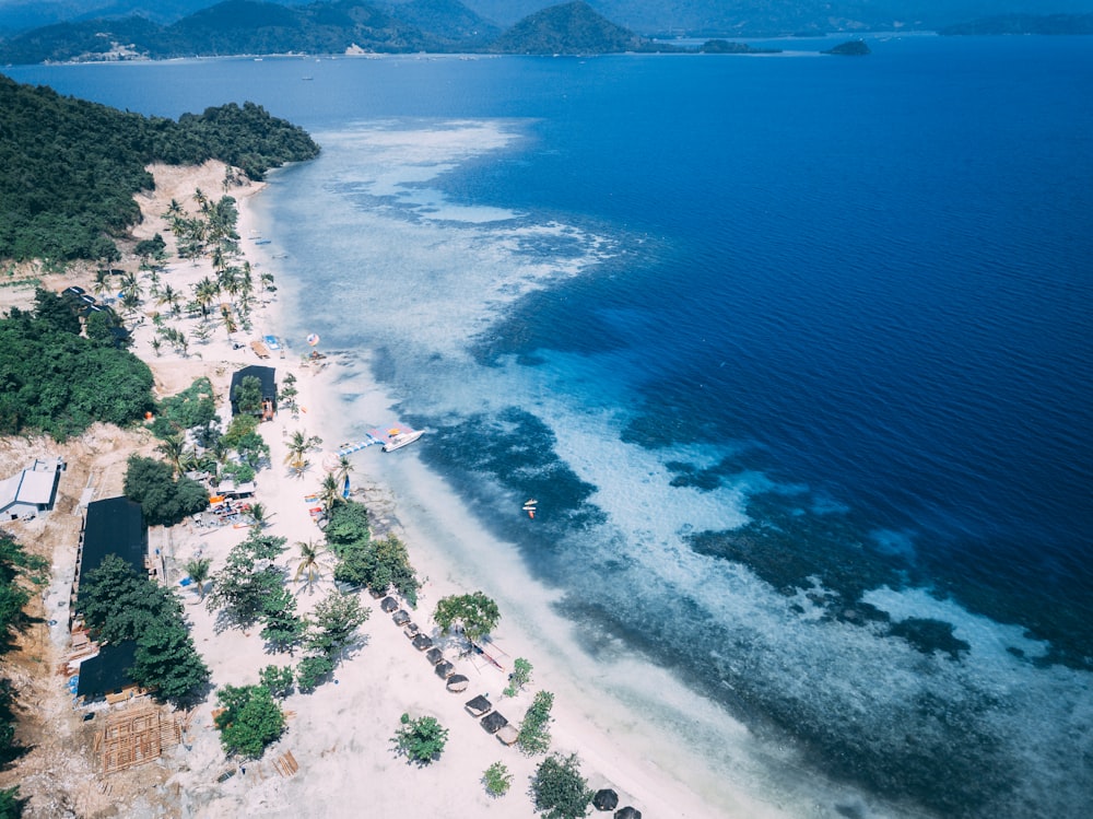 aerial shot of seashore