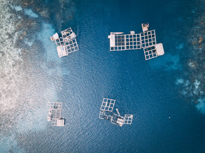 Jaulas de acuicultura en el mar vistas desde el aire