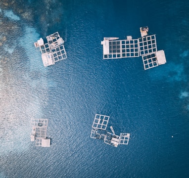 aerial photography of white frames on top of water