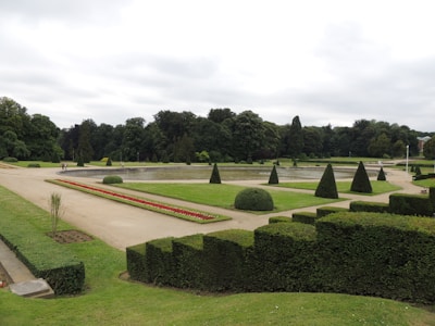 A beautifully manicured garden with neatly trimmed hedges and pyramid-shaped topiary trees. The area is interspersed with grass lawns and pathways, alongside a central water fountain. In the background, a dense line of tall trees creates a lush, green border.