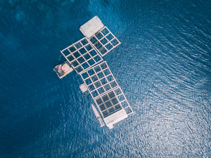 Aquaculture Filtration