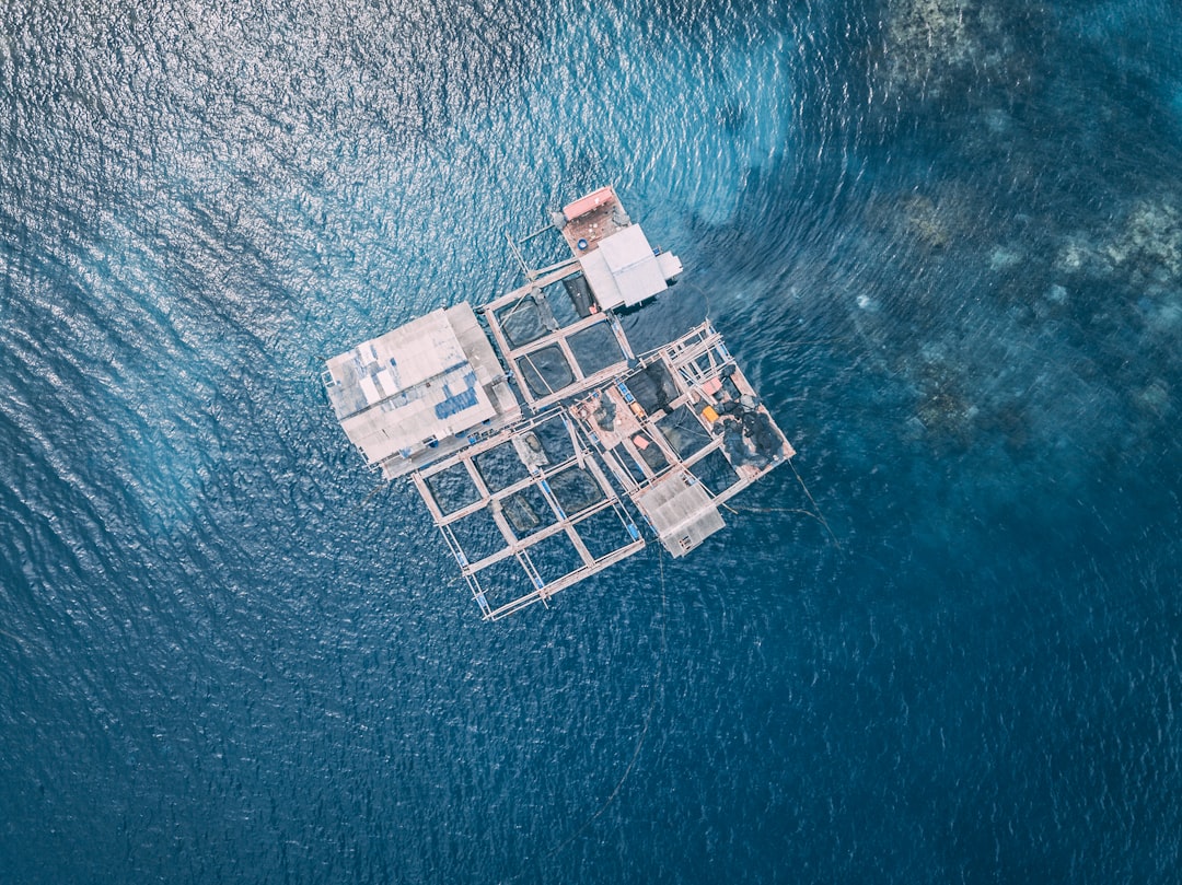 aerial view of house surrounded by water