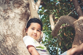 boy on tree sitting