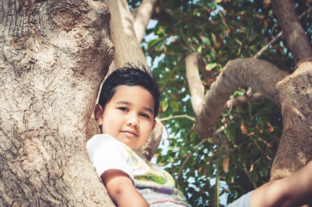 boy on tree sitting