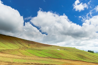 Rolling farmland with neat rows of crops under a clear blue sky.