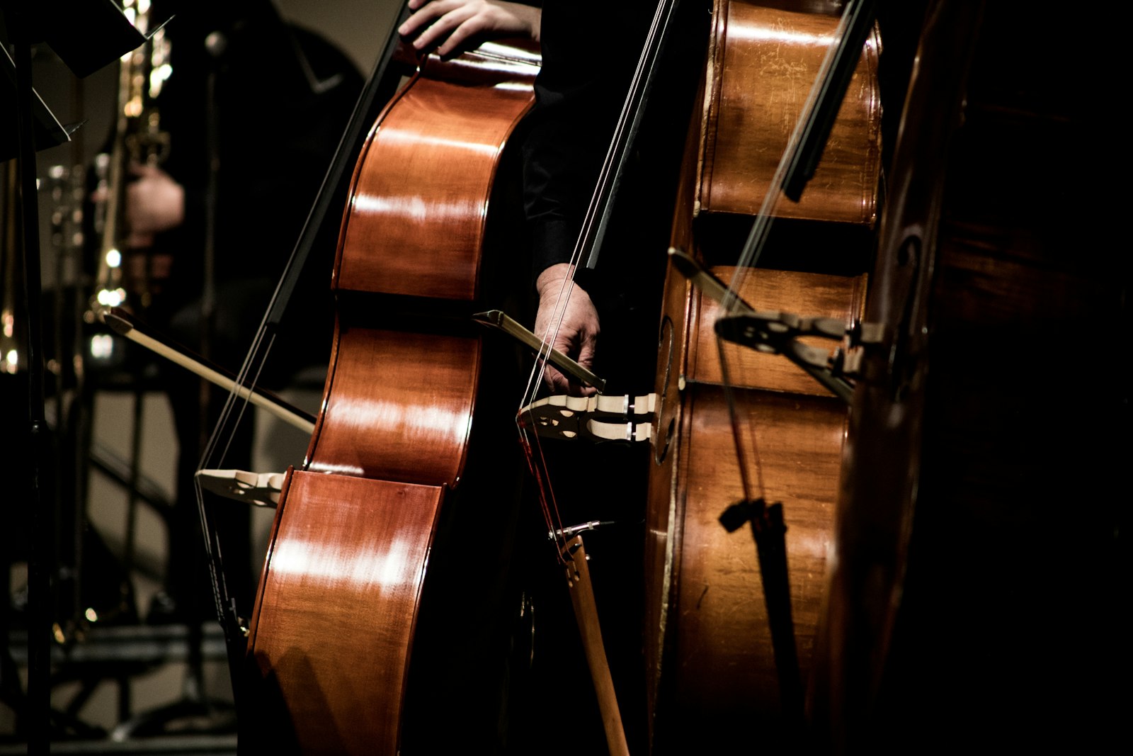 Choisir son premier violoncelle en 2026 : guide d'achat complet (Stentor, Gewa, Eastman, Yamaha, tailles 1/4 à 4/4, archet, budgets)