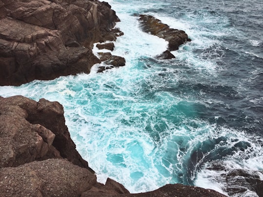 aerial photography of brown cliff near body of water during daytime in St. John's Canada