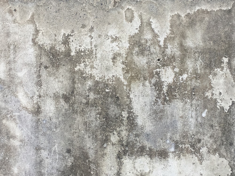 gray concrete surface