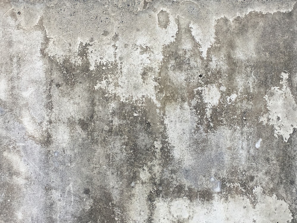 회색 콘크리트 표면