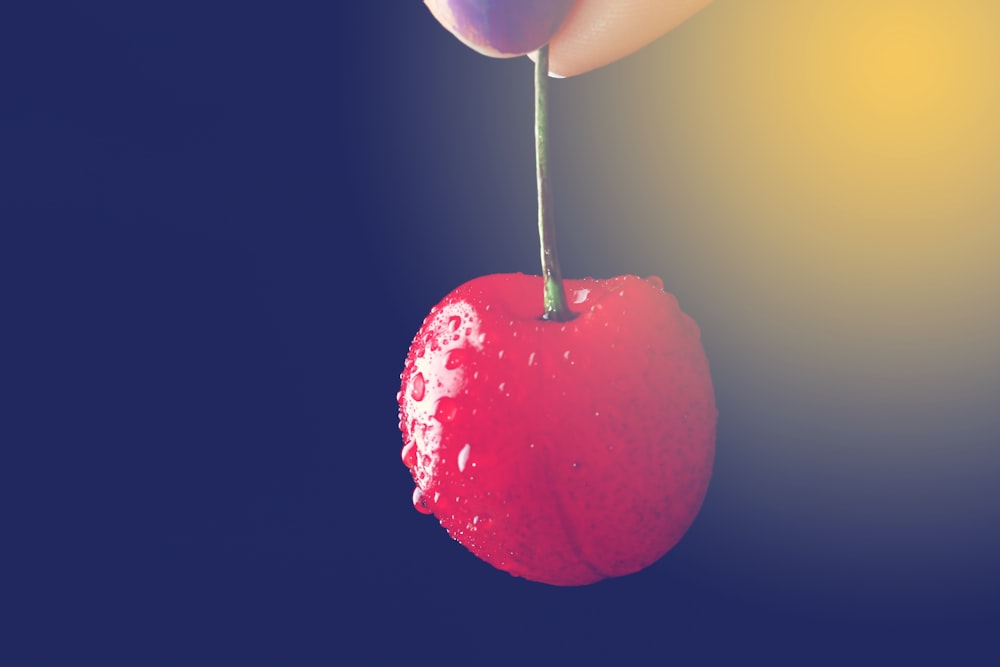 selective focus photography of person holding cherry