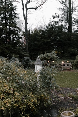 A serene backyard scene featuring a well-maintained bird feeder surrounded by blooming flowers.
