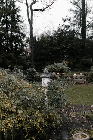 A quiet corner of the garden with a wooden bench and a birdhouse, inviting visitors to relax.
