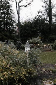 A serene garden scene with a birdhouse standing amidst lush greenery. The background features tall trees, dense foliage, and a wooden bench on a lawn. The atmosphere appears calm and slightly overcast.