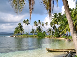 landscape photography of seashore