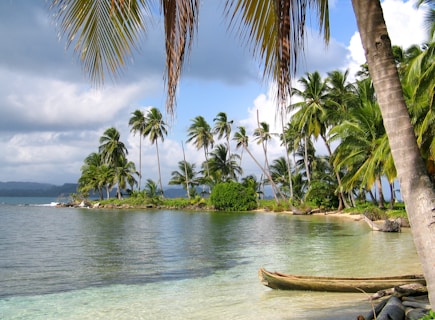 landscape photography of seashore