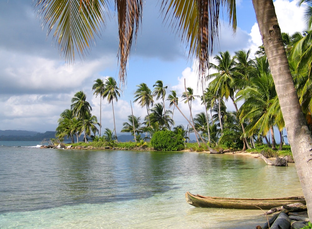 photographie de paysage de bord de mer