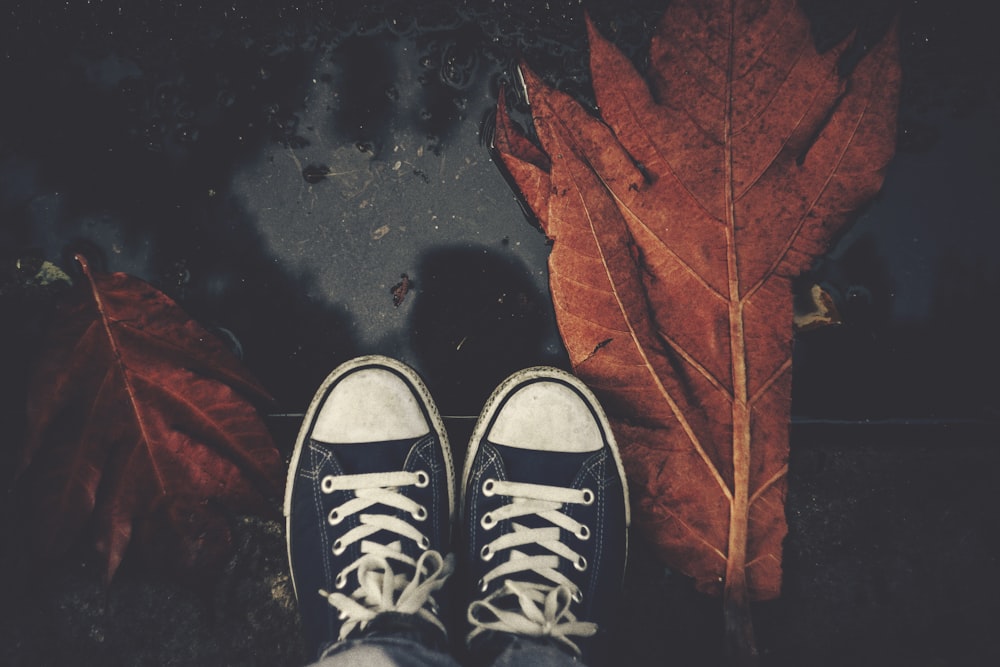 Person mit schwarz-weißen Converse-Schuhen, die auf braunem Ahornblatt steht