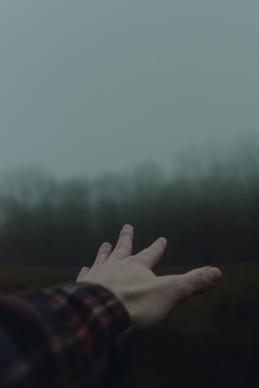 human hand in shallow focus photography