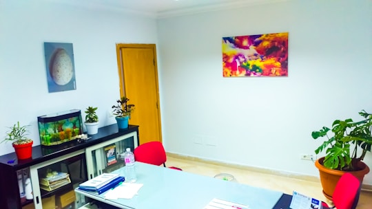 A well-lit office space features a table with documents, a water bottle, and a pen on it. There is a cabinet with glass doors, holding files and decorative items. On top of the cabinet, there is a small fish tank and two potted plants. The walls are adorned with two pieces of art: one depicting a natural scene with vibrant colors and another displaying a close-up of an egg. A large potted plant is situated near the right wall.