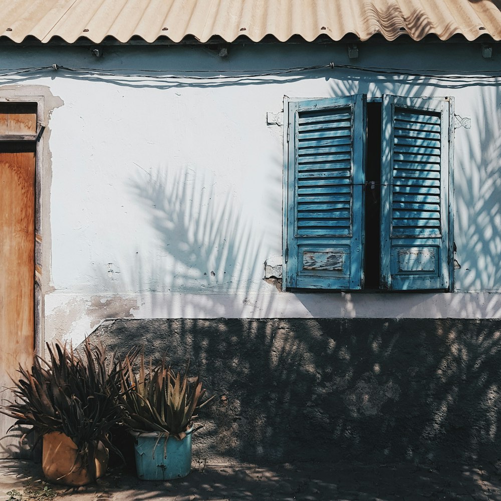 opened blue louvered windows