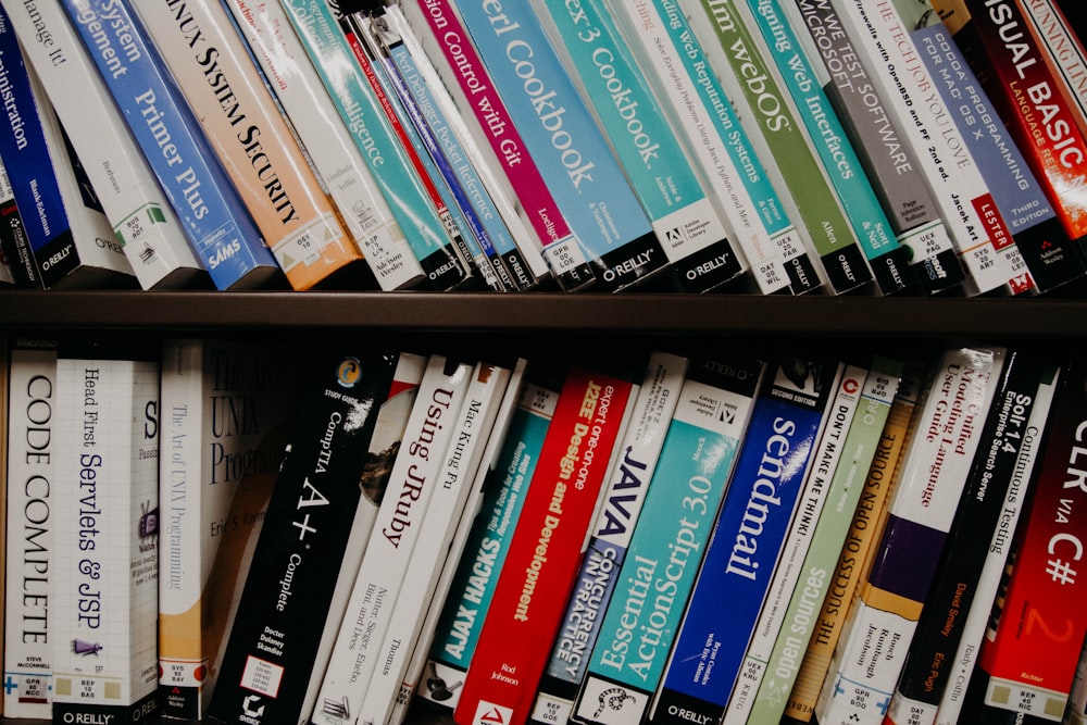 pile of book lot