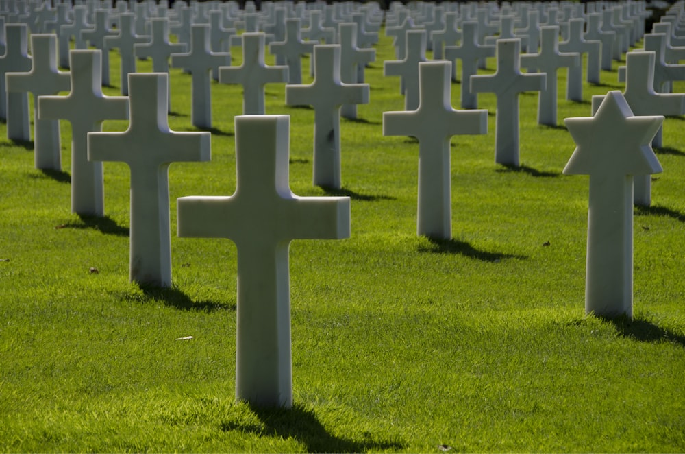 Friedhof auf grünem offenem Feld tagsüber