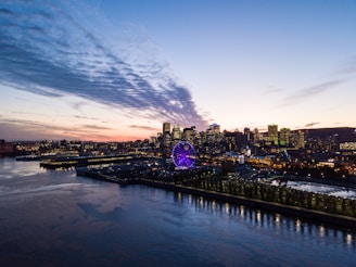 aerial photo of city buildings near bodies of water at daytime