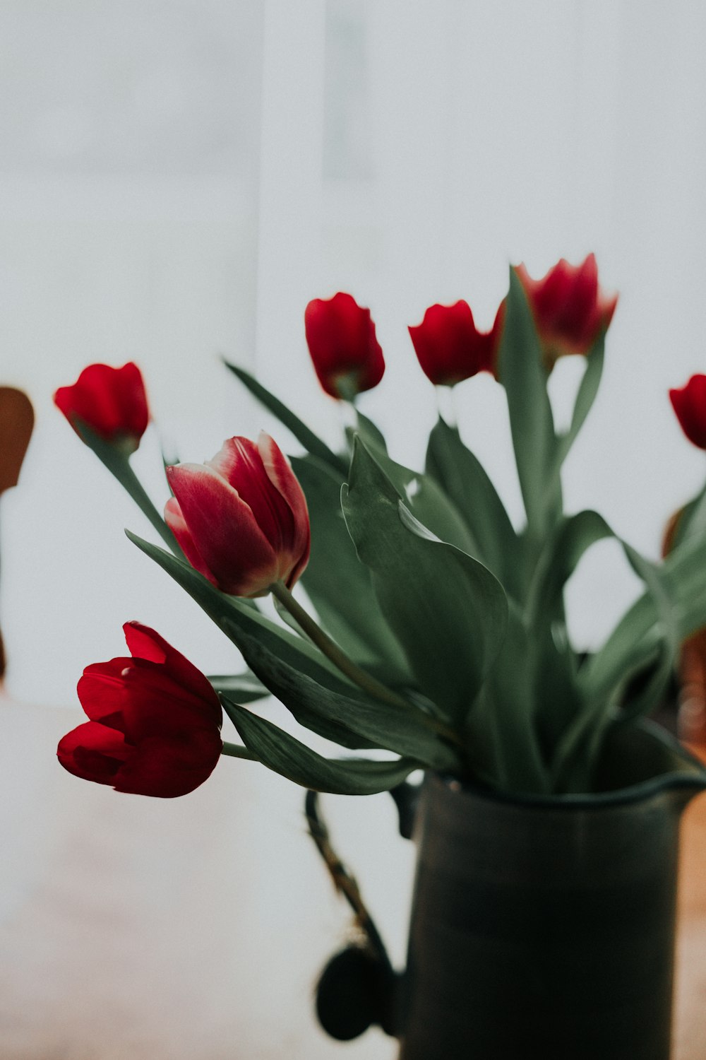 macro shot photography of red tulips